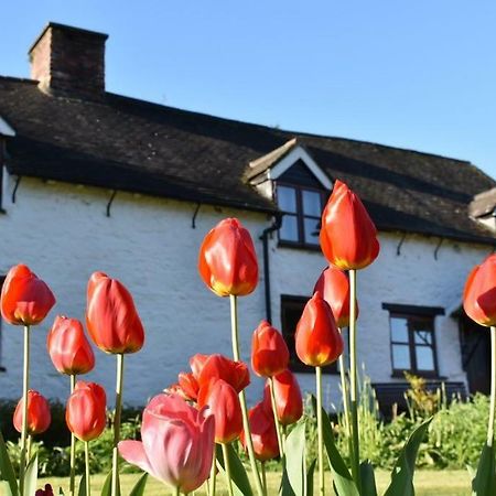 Glencoed B&B Wrexham Esterno foto